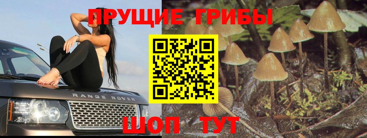 Псилоцибиновые грибы Magic Shrooms Заволжье