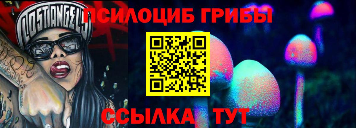 купить наркотик  Вход с VPN  Заволжье  Псилоцибиновые грибы мухоморы 